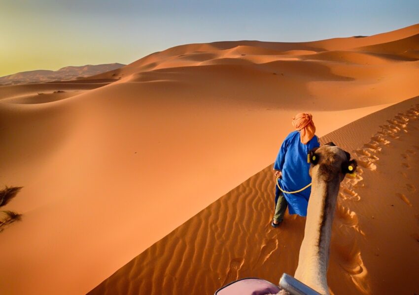 camel ride with a nomad guide in Sahara desert